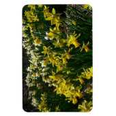 Gele en witte deffodils Spring Flowers Magneet (Verticaal)