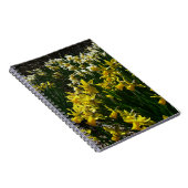 Gele en witte deffodils Spring Flowers Notitieboek (Rechterzijde)