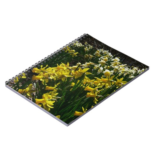 Gele en witte deffodils Spring Flowers Notitieboek (Linkerzijde)