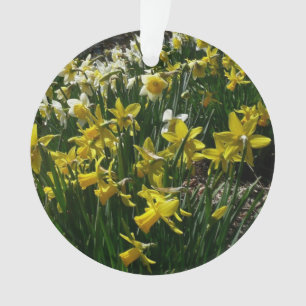 Gele en witte deffodils Spring Flowers Ornament