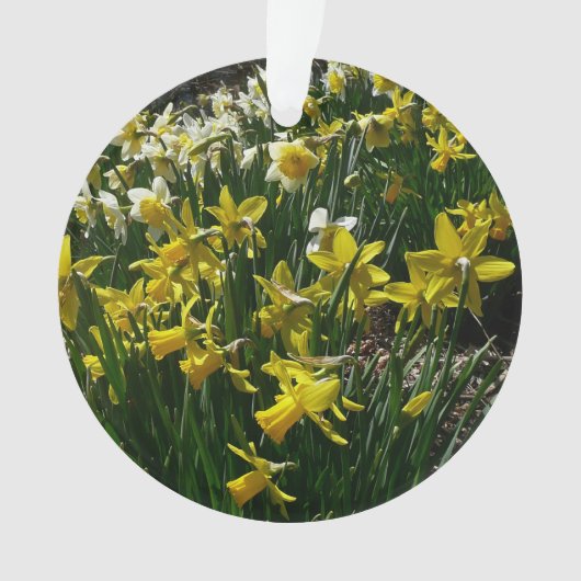 Gele en witte deffodils Spring Flowers Ornament (voorkant)