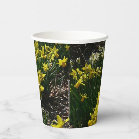 Gele en witte deffodils Spring Flowers Papieren Bekers (Rechts)