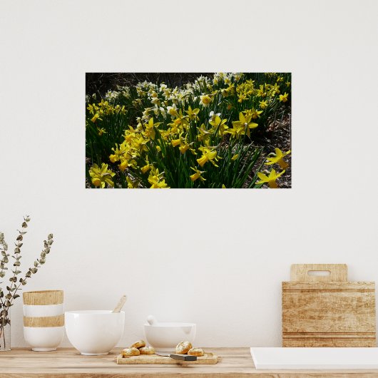 Gele en witte deffodils Spring Flowers Poster (Keuken)