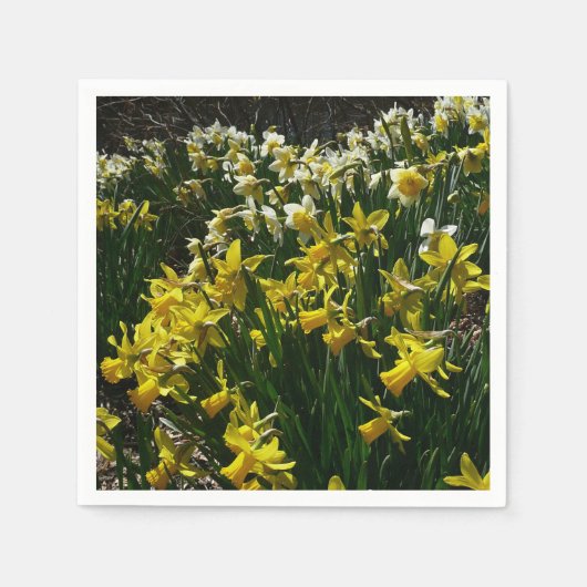 Gele en witte deffodils Spring Flowers Servet (Voorkant)