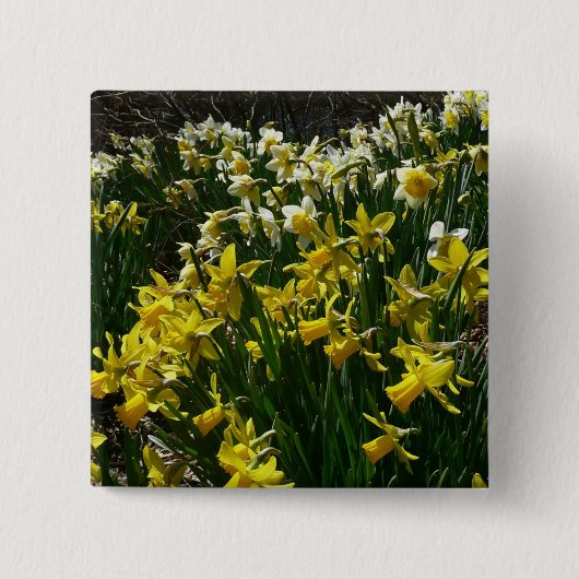 Gele en witte deffodils Spring Flowers Vierkante Button 5,1 Cm (Voorkant)