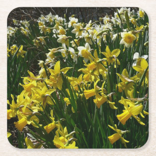 Gele en witte deffodils Spring Flowers Vierkante Kartonnen Onderzetter