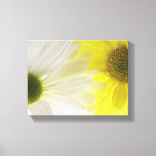 Gele en Witte Madeliefjes Canvas Afdruk
