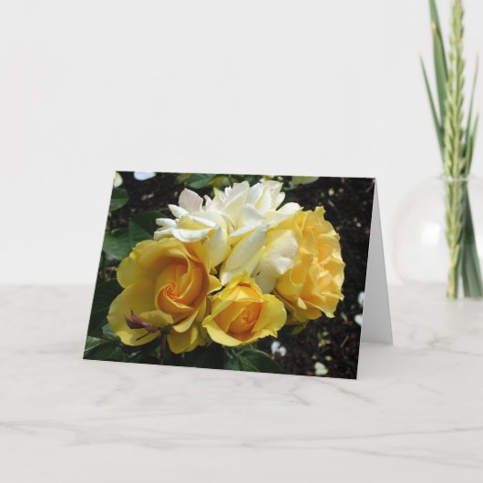 Gele en witte rozen kaart (Voorkant)