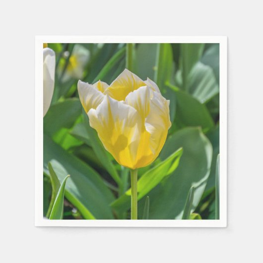 Gele en witte tulp servetten (Voorkant)
