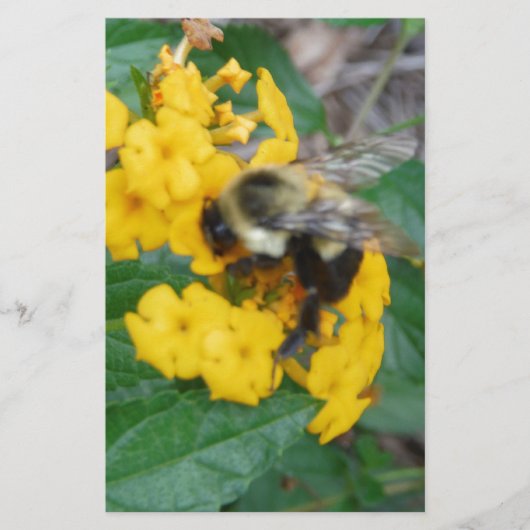 gele en zwarte bij gele bloem briefpapier (Voorkant)