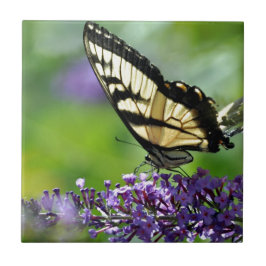 Gele en Zwarte Vlinder op Lavendel Tegeltje