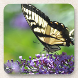 Gele en zwarte vlinder op lavender drankjes onderzetter