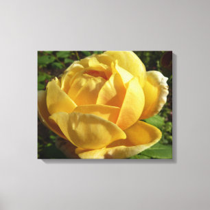 Gele Engelse Roos Canvas Afdruk