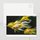 Gele Fancy aquariumGoldvis Briefkaart (Voorkant / Achterkant)