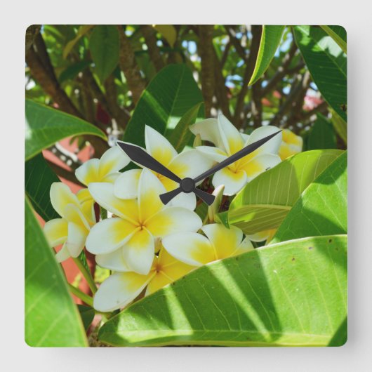 Gele Frangipani-boom Vierkante Klok (Voorkant)