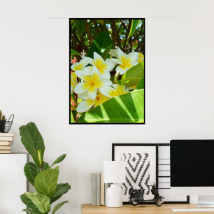 Gele frangipanis die op een boom groeit, poster