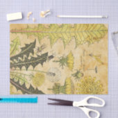 Gele Franse ontvlechting Tissuepapier (Craft)