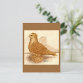 Gele Frillback Pigeon Briefkaart (Staand voorkant)