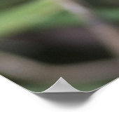 Gele fuzzy poster (Hoek)