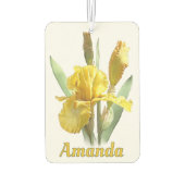 Gele gekaarde irisventilator, speciaal aangepast luchtverfrisser (Achterkant)