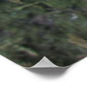 Gele gele gelilies poster (Hoek)