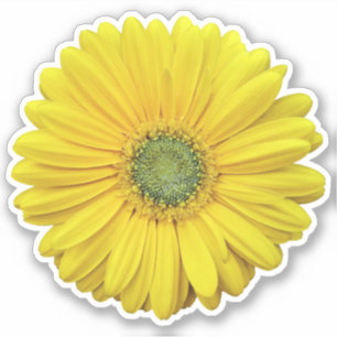 Gele Gerber Daisy Flower Kiss-Cut Sticker