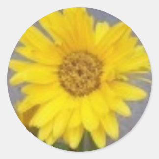 Gele Gerber Daisy Sticker