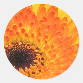 Gele Gerber Stickers