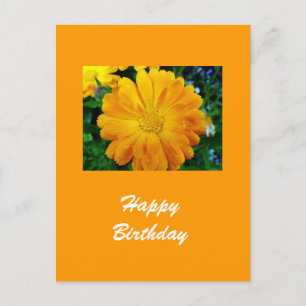 Gele Gerbera Daisy Flower Briefkaart