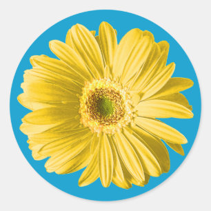 Gele Gerbera Daisy Flower Ronde Sticker