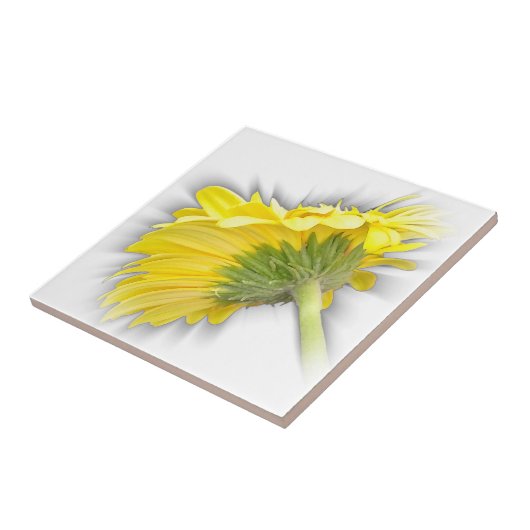 gele gerbera daisy tegeltje (Zijkant)