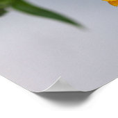 Gele Gerbera Daisy Wildflower Poster (Hoek)