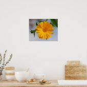 Gele Gerbera Daisy Wildflower Poster (Keuken)