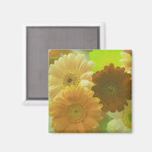 Gele Gerbera Madeliefjes Bloemen Koelkast Magneten (Voorkant / Achterkant)