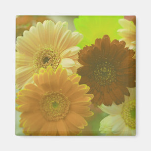 Gele Gerbera Madeliefjes Bloemen Koelkast Magneten