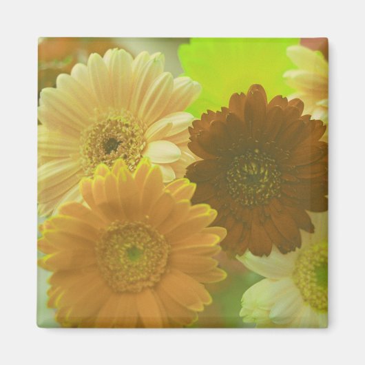 Gele Gerbera Madeliefjes Bloemen Koelkast Magneten (Voorkant)