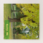 Gele Gingko Tree - Boston Public Garden Legpuzzel (Horizontaal)