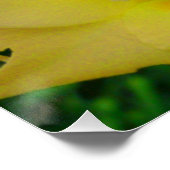 Gele Gladiola Poster Perfect Poster (Hoek)