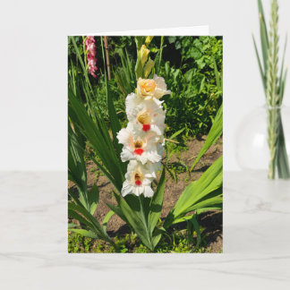 Gele gladiolus in mijn tuin kaart