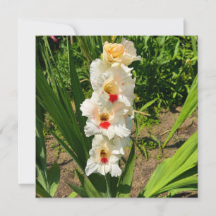 Gele gladiolus in mijn tuin kaart
