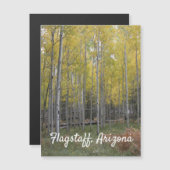 Gele gloed van Aspen (Voorkant / Achterkant)