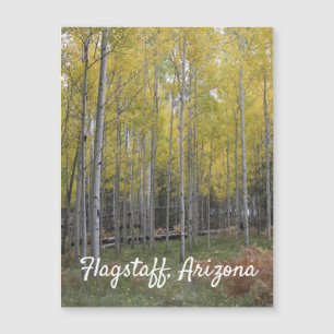 Gele gloed van Aspen