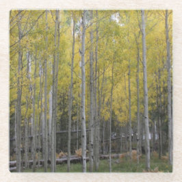 Gele gloed van Aspen Glazen Onderzetter