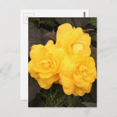 Gele goudbloemen briefkaart (Voorkant / Achterkant)