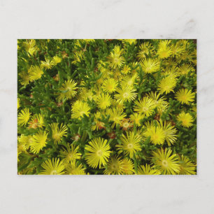 Gele gouden bloemen voor Plant Briefkaart