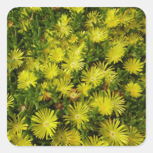 Gele gouden bloemen voor Plant Vierkante Sticker