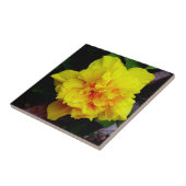 Gele granaatappelbloem tegeltje (Zijkant)