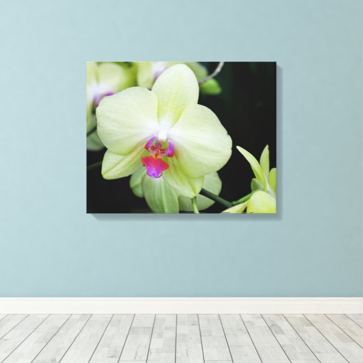 Gele groene orchidee canvas afdruk (Insitu (Houten vloer))