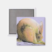 gele haas magneet (Voorkant / Achterkant)