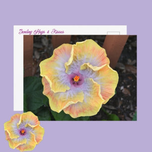 Gele Hibiscus Bloem Fotografische Botanische Briefkaart